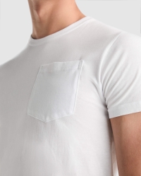 Camiseta Roly Teckel | Toleshop