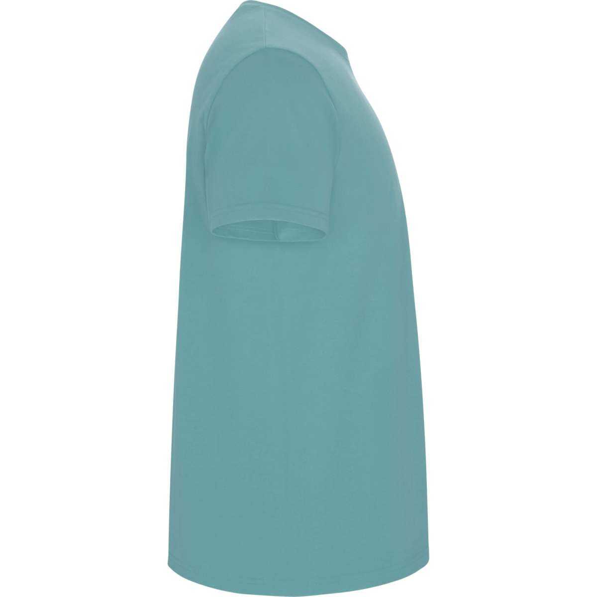 Camiseta Roly Stafford | Toleshop