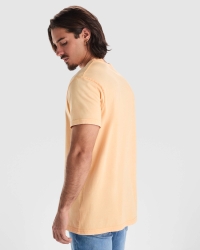 Camiseta Roly Corgi | Toleshop