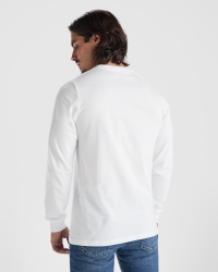 Camiseta Roly Pointer | Toleshop