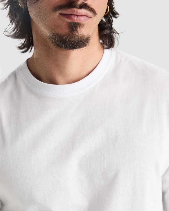 Camiseta Roly Pointer | Toleshop