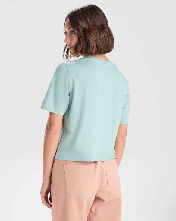Camiseta Roly Dominica | Toleshop