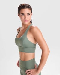 Top Técnico Roly Sebring | Toleshop