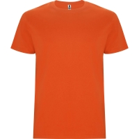 Camiseta Roly Stafford Infantil | Toleshop
