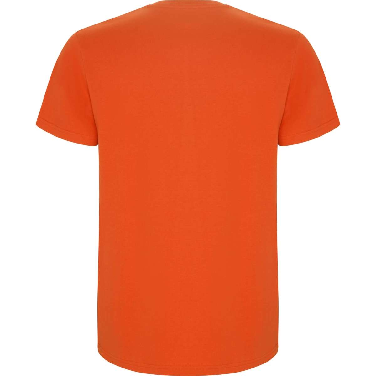 Camiseta Roly Stafford Infantil | Toleshop