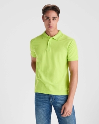 Polo Roly Pegaso Premium | Toleshop