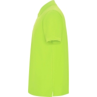 Polo Roly Pegaso Premium | Toleshop