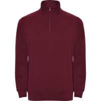 Sudadera Roly Aneto | Toleshop