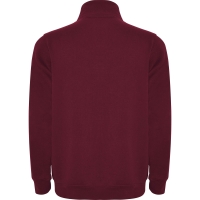 Sudadera Roly Aneto | Toleshop