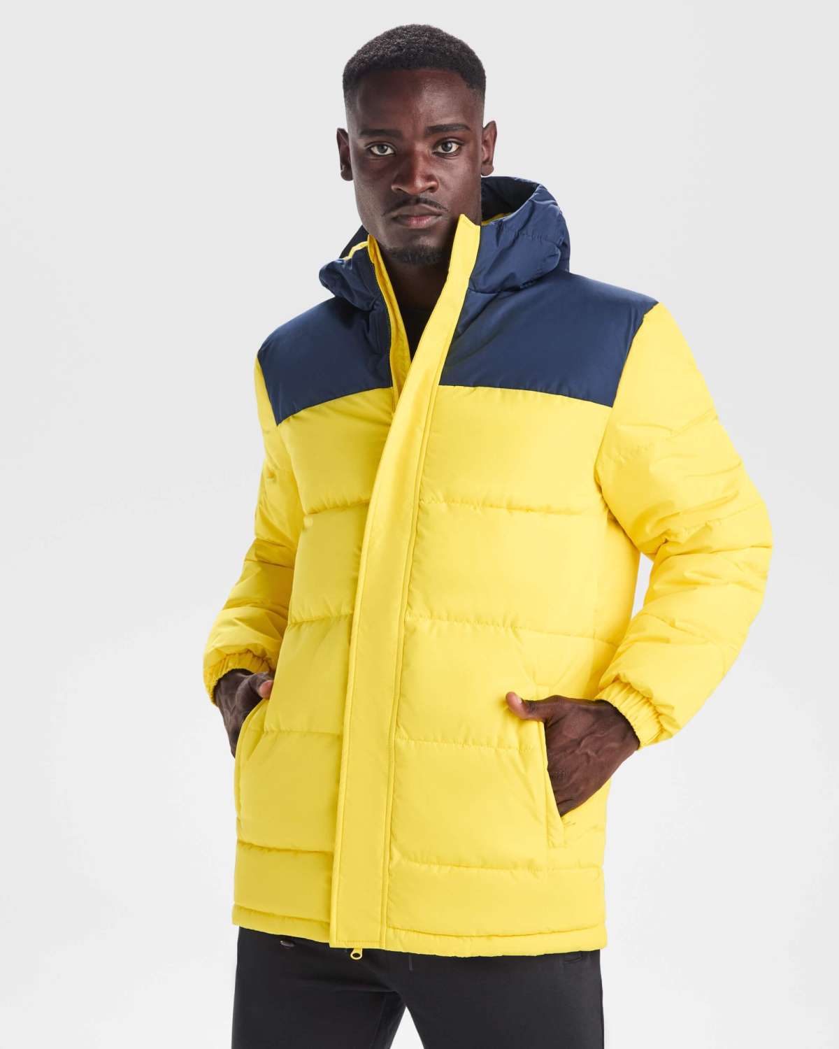 Chaqueta Acolchada Roly Tallin | Toleshop