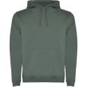 Sudadera Roly Urban Infantil 1067