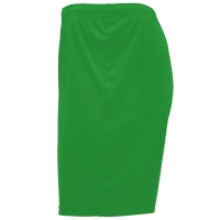 Pantalón Deportivo Roly Dortmund | Toleshop