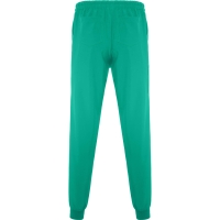 Pantalón Sanitario Roly Fiber | Toleshop