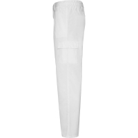 Pantalón Laboral Roly Pintor | Toleshop
