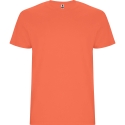 Camiseta Roly Stafford Infantil 6681