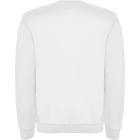 Pack Sudaderas Personalizadas Sin Capucha| Toleshop